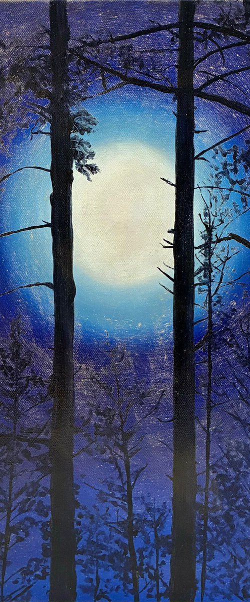 Midnight Pines by Alla Kallass
