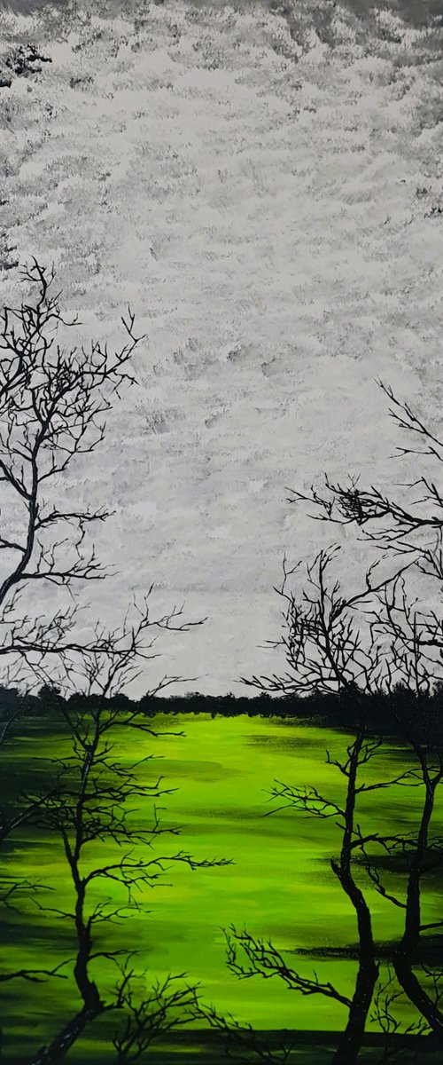 Green lake 3 by Daniel Urbaník