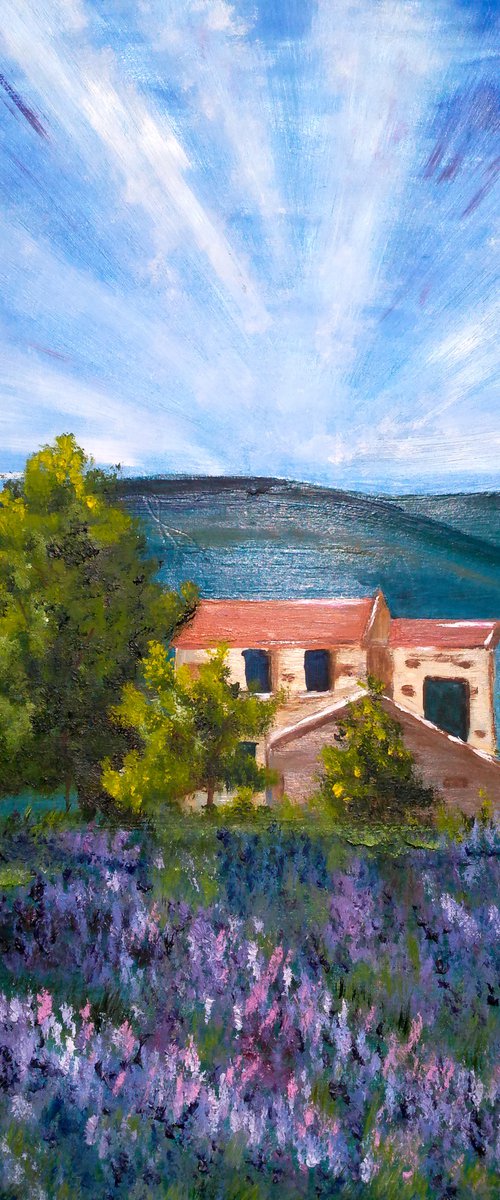 Provence France Lavender original oil painting by Halyna Kirichenko