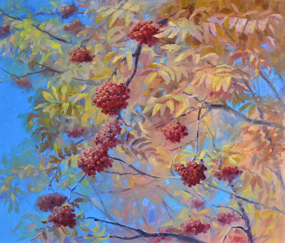 Red rowanberry