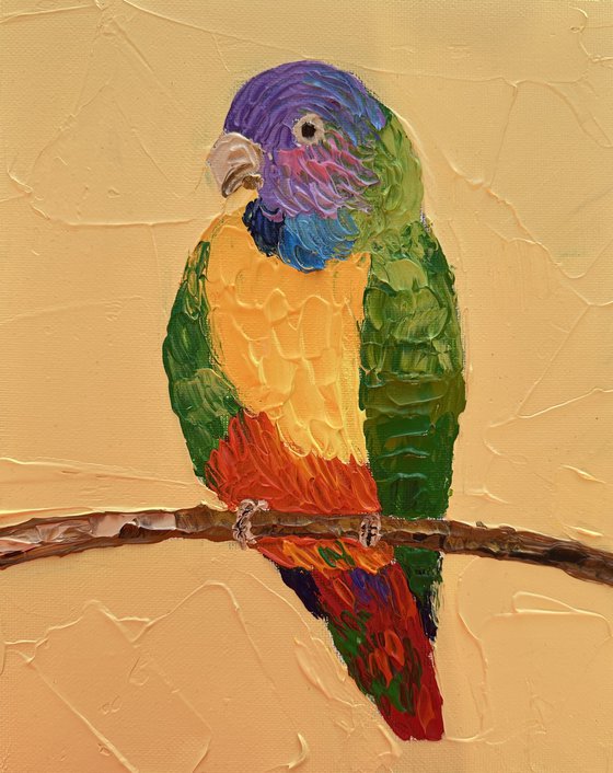 Rainbow lorikeet