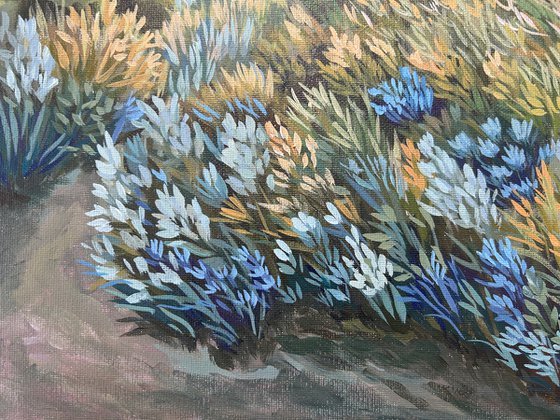 Evening in the Dunes III