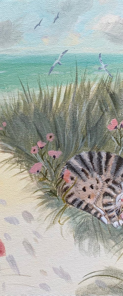 Tabby on the beach by Mary Stubberfield