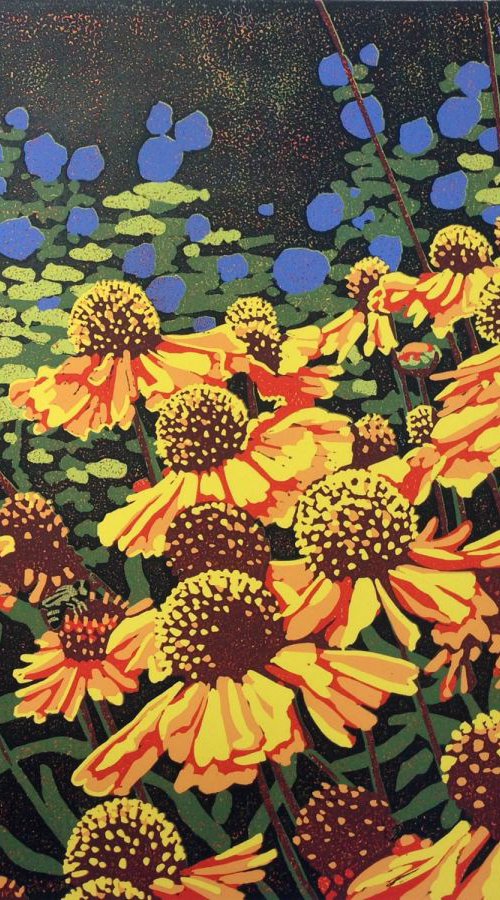 Daisy Delights by Alexandra Buckle