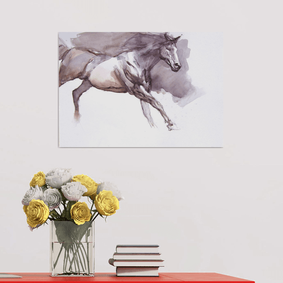 black stallion IV