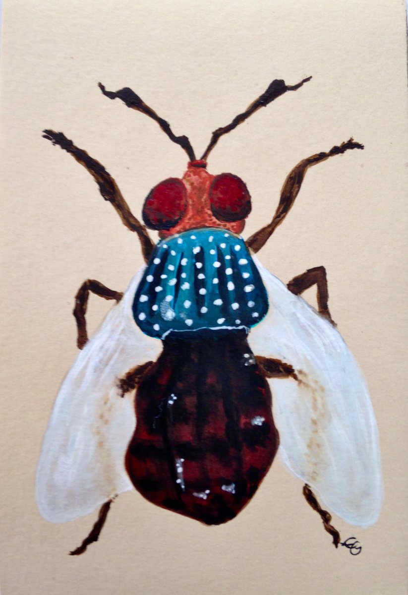 Bug by Eleanor Gabriel