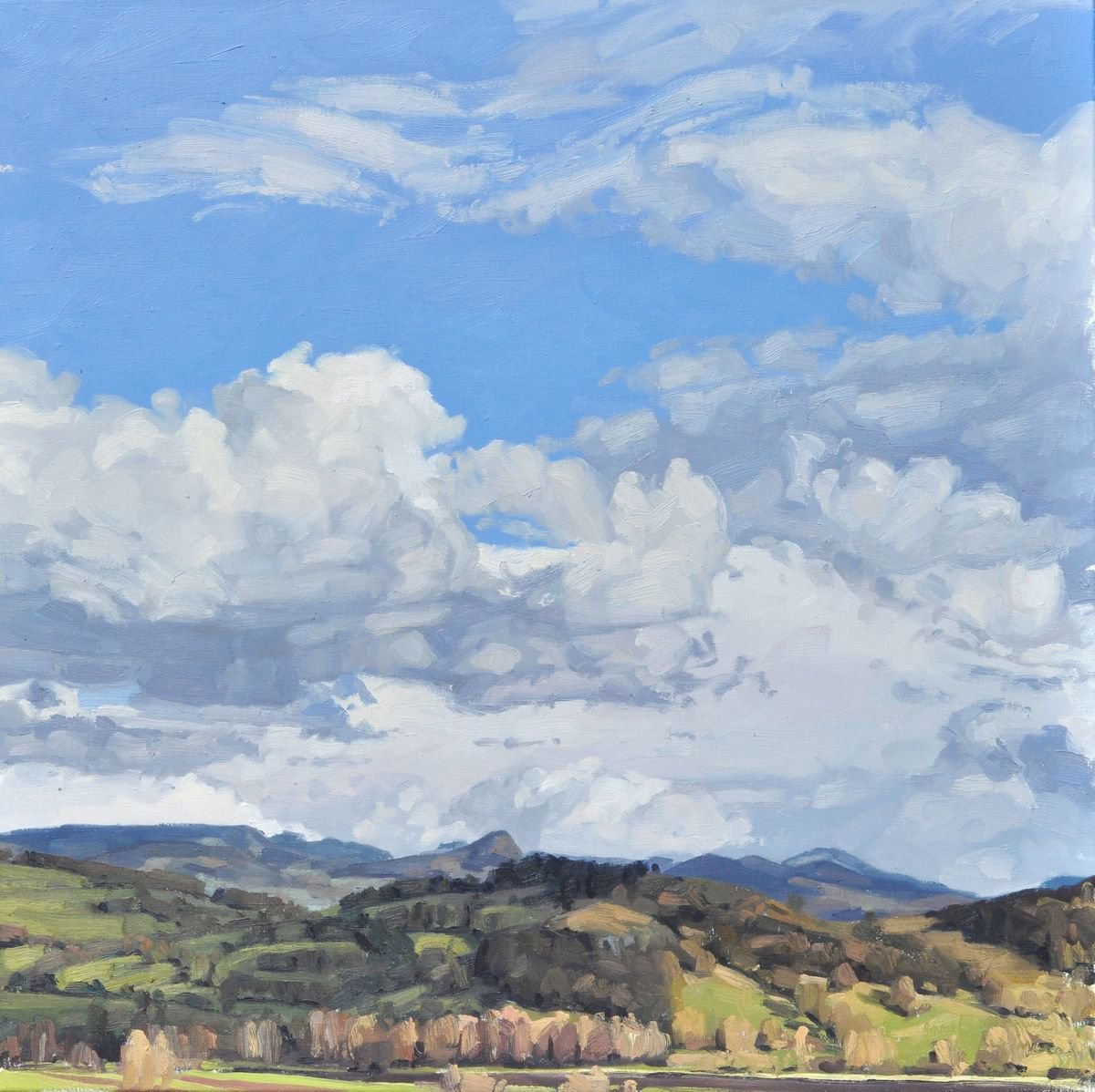 Photorealistic Landscape Oil Painting By Anne Baudequin, 35 X 35, March 17, Roches De Mariol, Original Artwork
