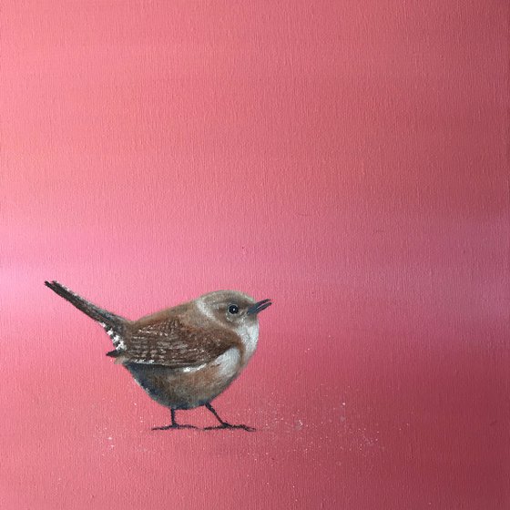 Wren on Rose Gold