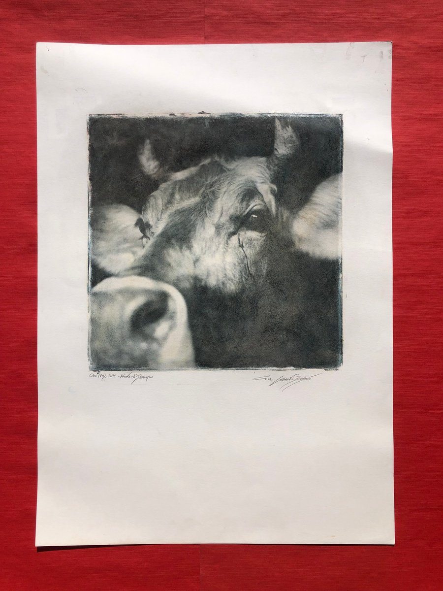 Photorealistic Animal Print By Gill Gilberto Borghesi, 20 X 28, Bovide, Original Artwork