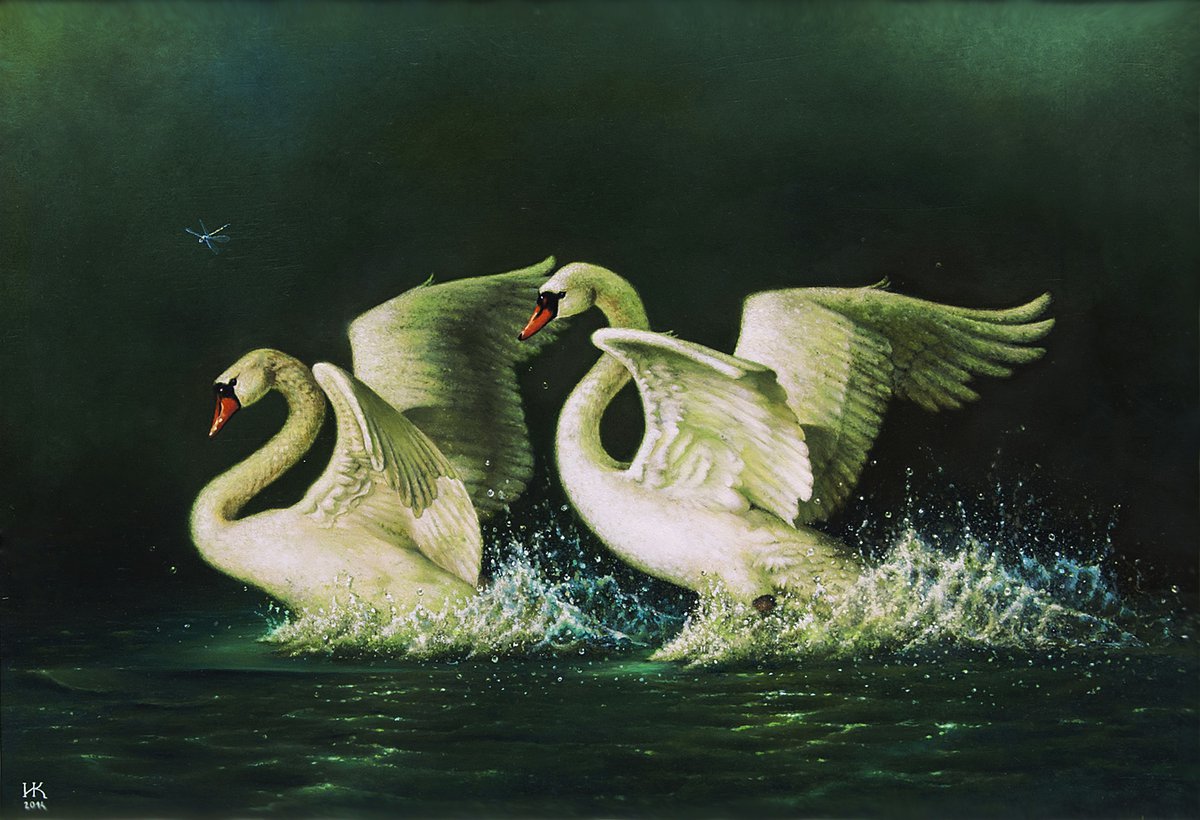 Dancing swans by Ivan Karafilovski