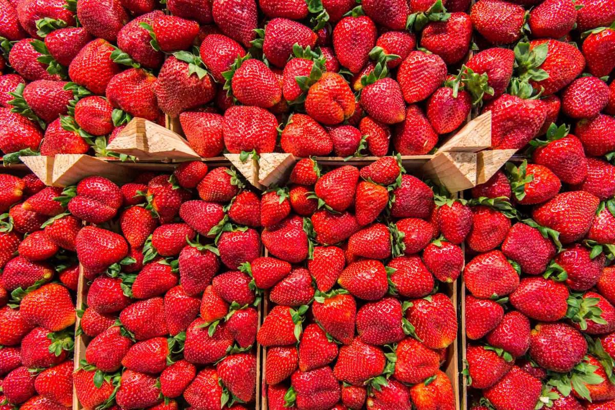 Strawberries - Limited Edition Print by Ben Robson Hull