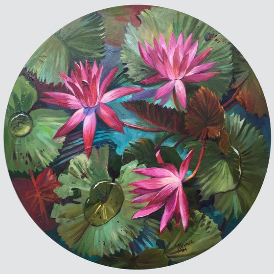 Pink lotuses. Painting of water lilies.