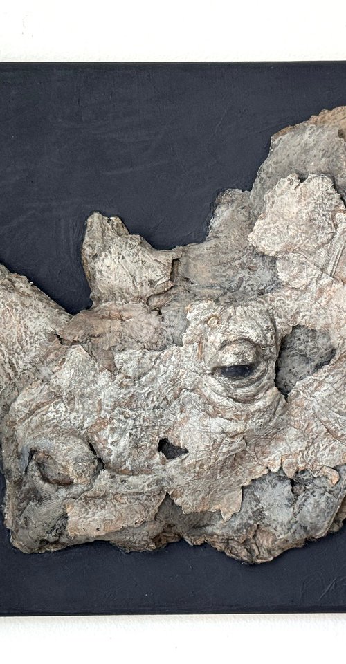 There was a rhinoceros by Sol Vil
