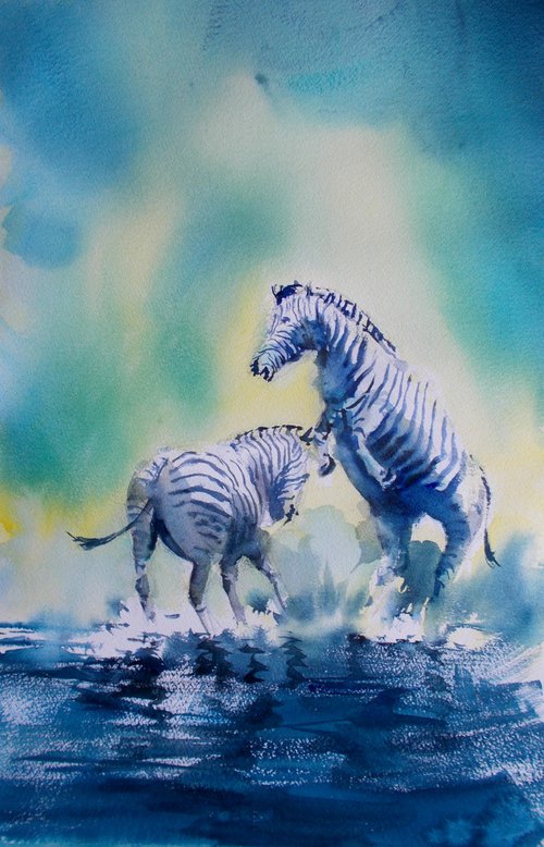 zebras 2 by Giorgio Gosti