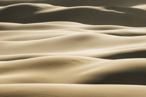 Rolling Hills of Sand