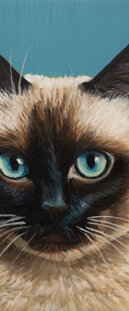 "Siamese Stare — Hyperrealistic Cat Portrait" by Norma Beatriz Zaro