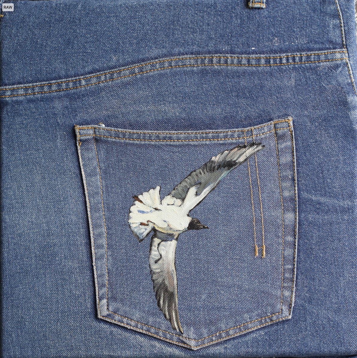 Photorealistic Animal Oil Painting By Marina Skepner, 12 X 12", Seagull, Original Artwork