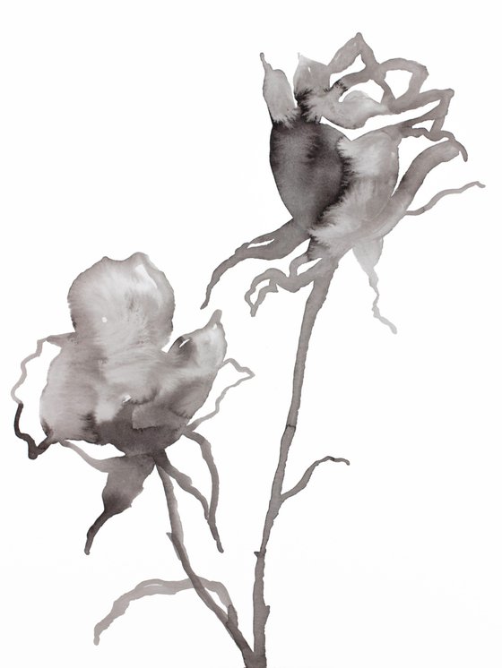 Rose Study No. 66