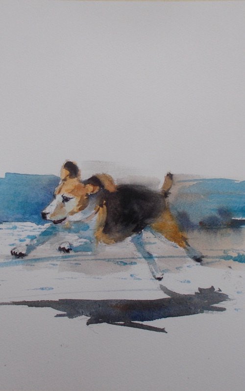 running dog 2 by Giorgio Gosti