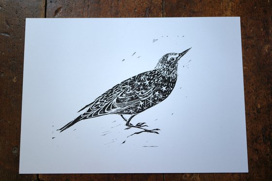 Starling Linocut Print