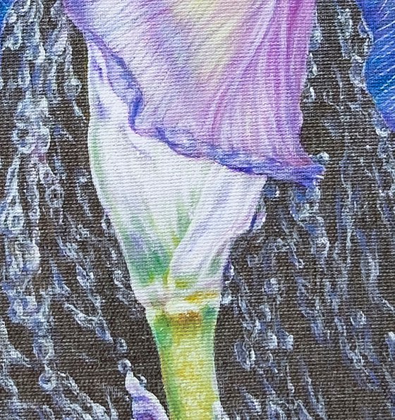 "Iris in Rain Pearls"