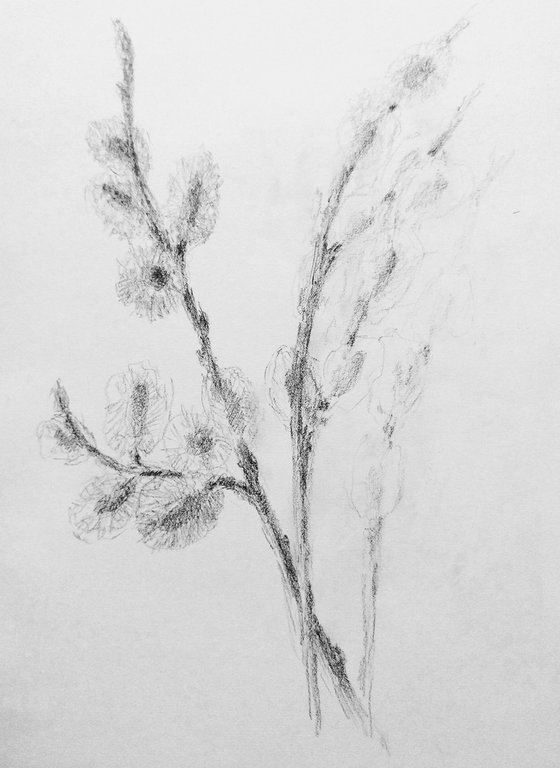 Springtime#2. Original pencil drawing.