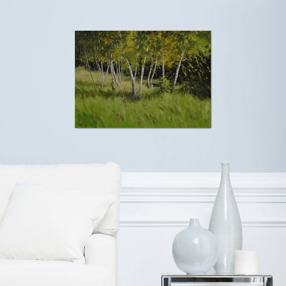 Birches at the edge of the forest