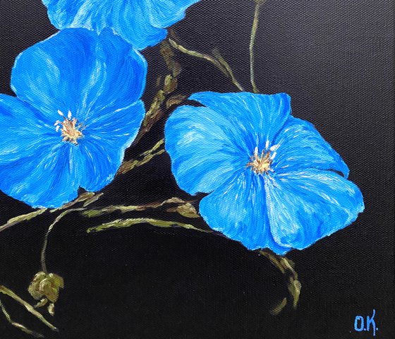 Blue flowers