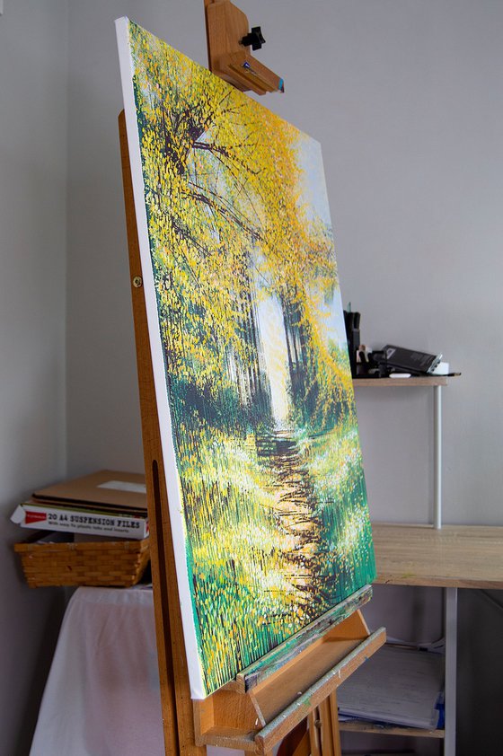 Sunlight Through Autumn Trees