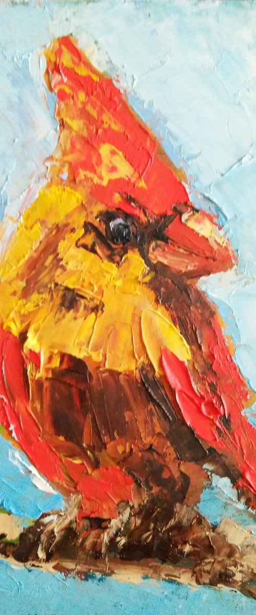 Cardinal by Yulia Berseneva