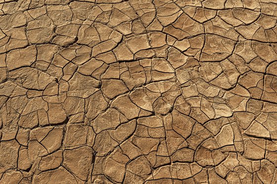 Drought