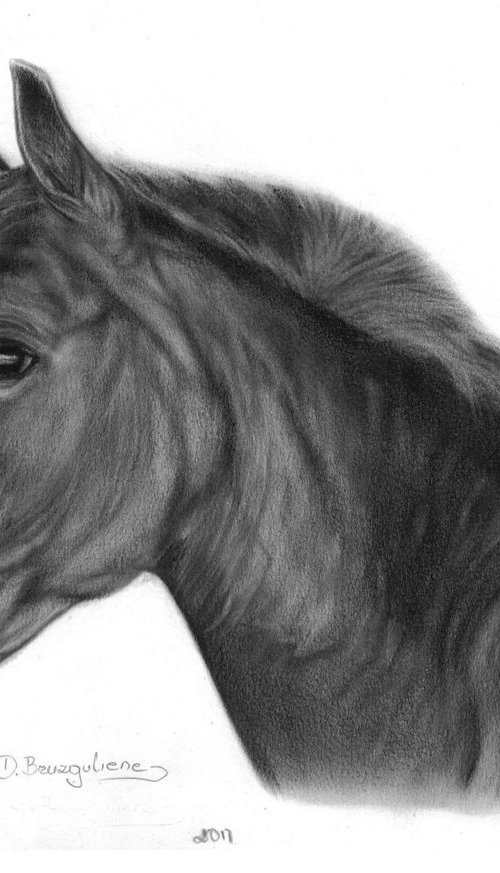 Oil painting ,, Horse Big Brown,, by Deimante Bruzguliene