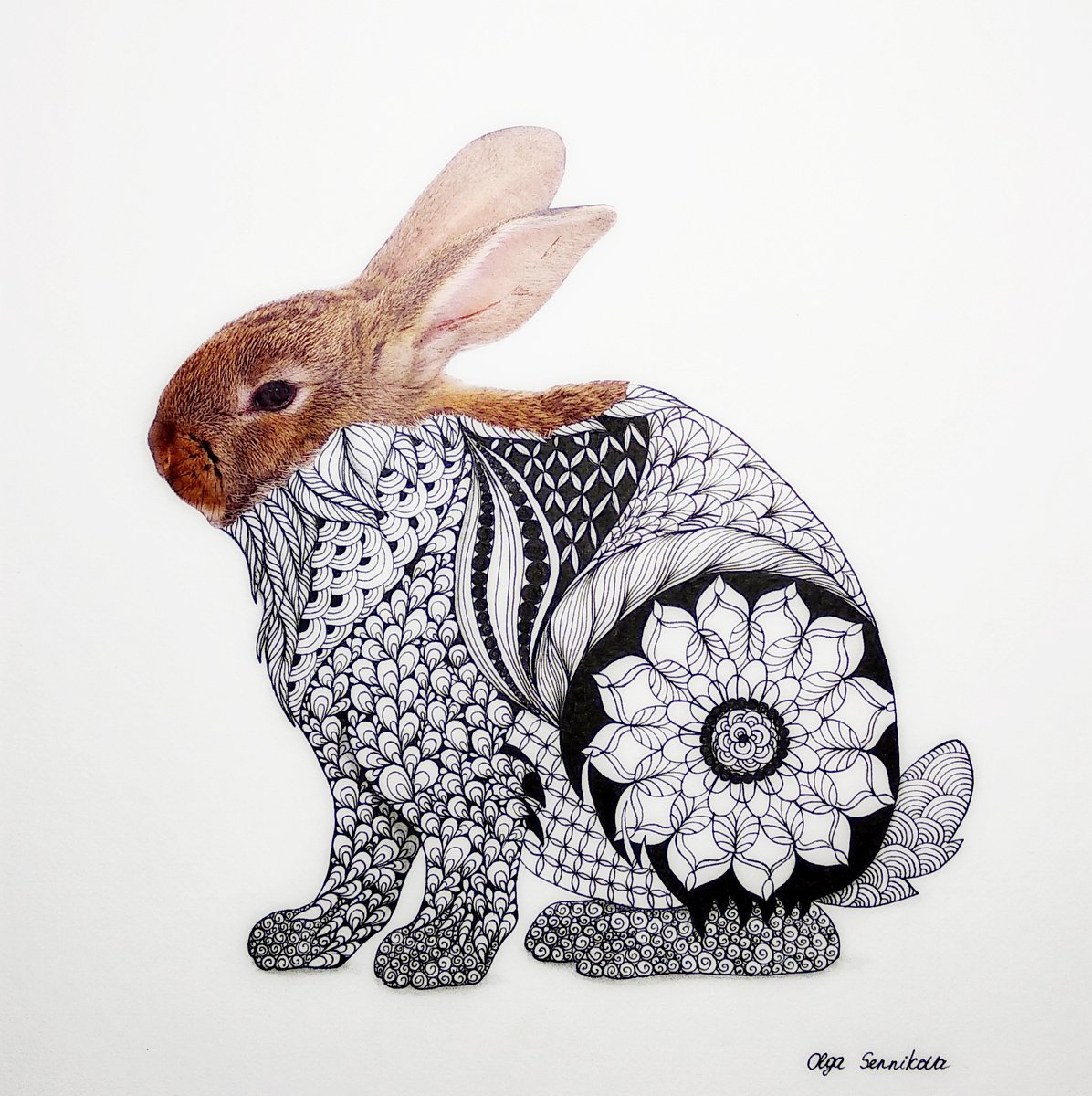 Rabbit by Olga Sennikova