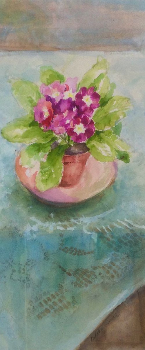 Lace cloth and Purple Primula still life by Patricia Clements
