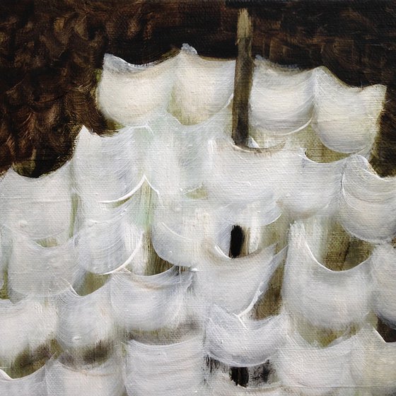 Sails and souls