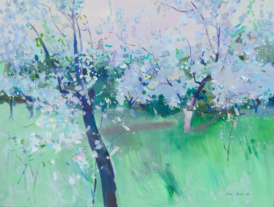 " Сherry orchard "