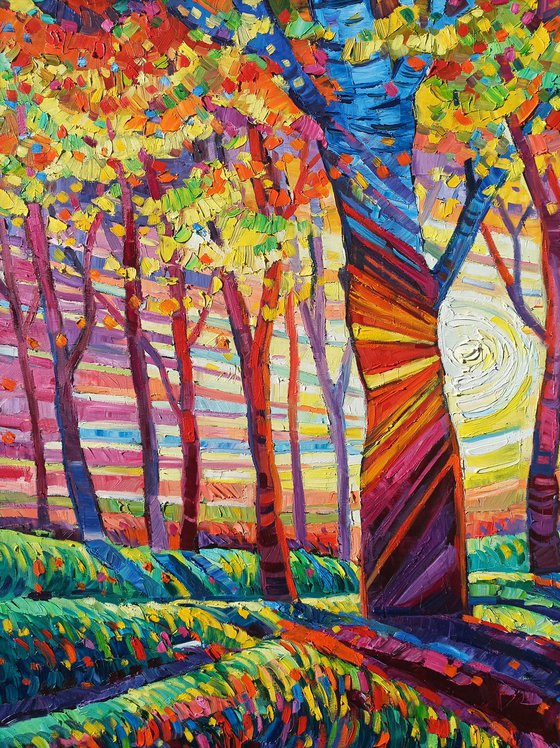 Autumn light in the forest