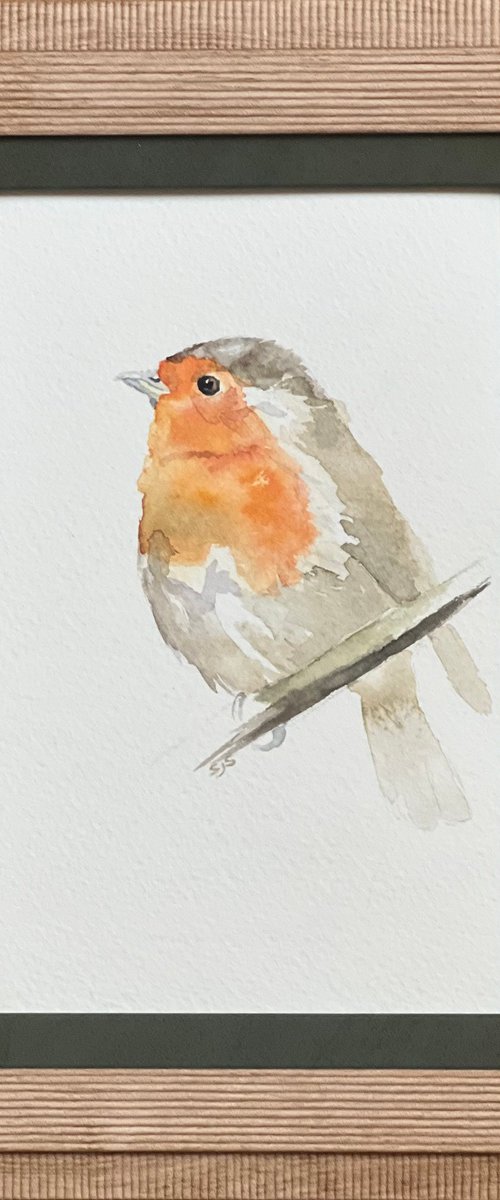Little Robin Redbreast by Sarah Stowe
