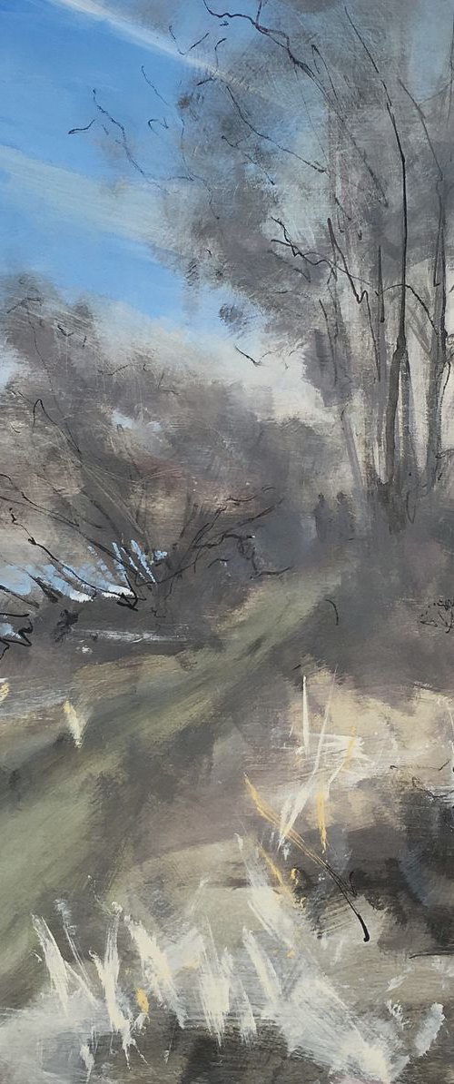Walkers and low sun through the trees by Tom Cringle