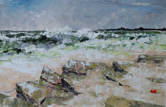 Scruffy Day on Scuthvie Beach