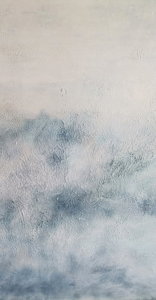 Ice crystals on the window by Doris Duschelbauer