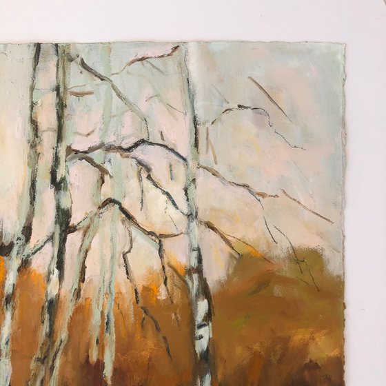 Spindly Birches