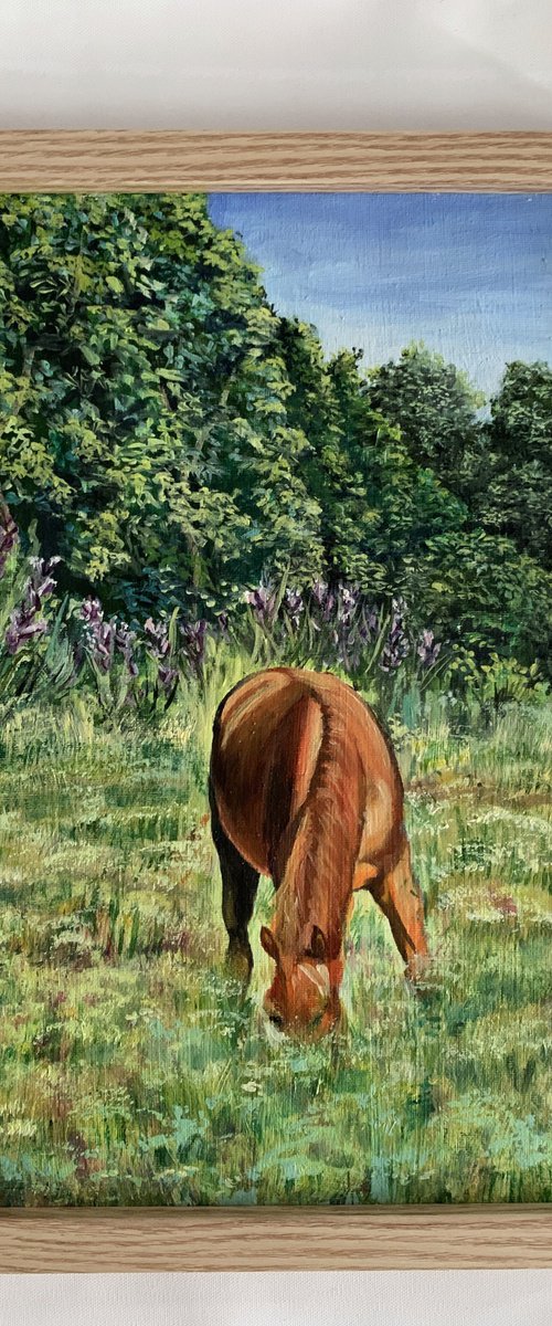 Horse in the field. by Vita Schagen