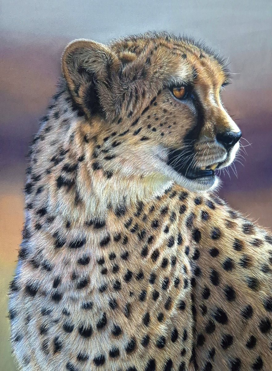 Photorealistic Animal Pastel Drawing By Silvia Frei, 16 X 20", 