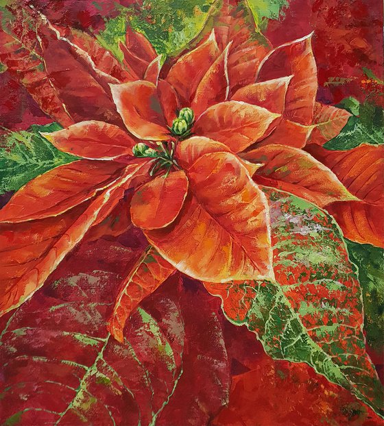 Christmas star - oil painting, red flower, gift idea, contemporary art