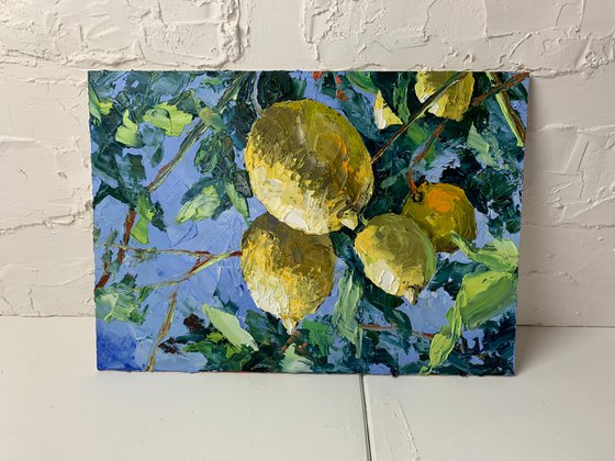 Lemon garden.
