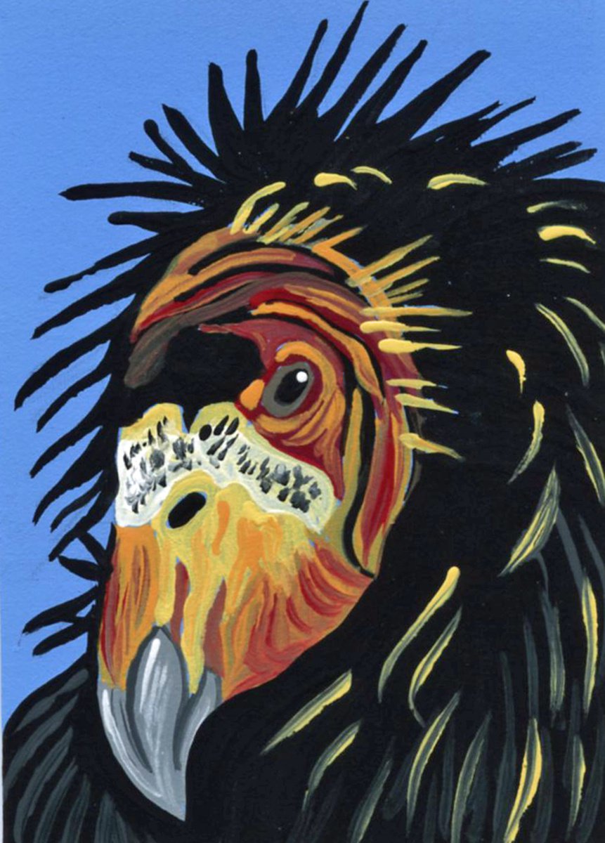 ACEO ATC Original Miniature Painting California Condor Vulture Bird Wildlife Art-Carla Sma... by carla smale