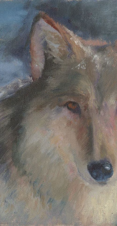 Wolf by Elizabeth B. Tucker