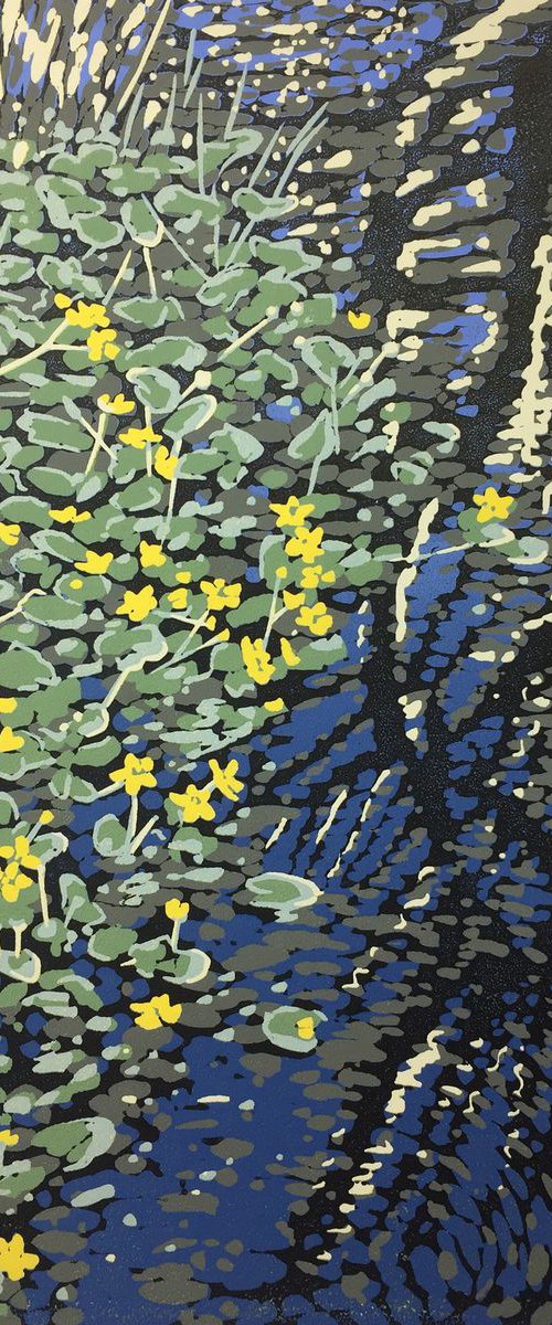 Marsh Marigolds by Alexandra Buckle