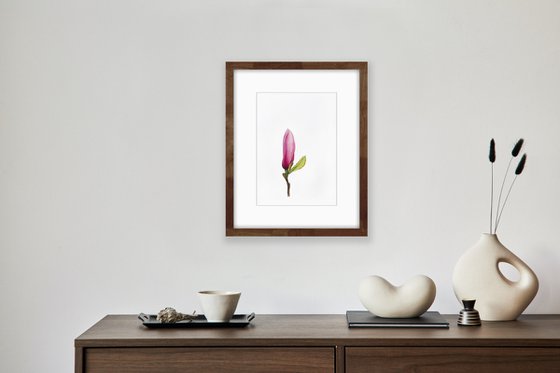 Magnolia blossom. A flower bud. Original watercolor artwork.